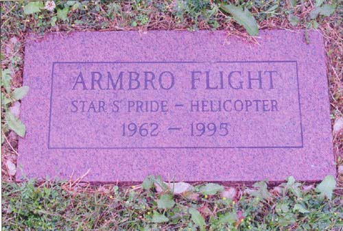 Armbro_Flight